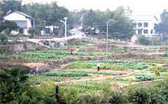Guangming Eco-Village near Changsha, Hunan