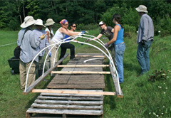 Interns build solar-powered herb dryer, August 2011